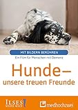  Hunde. Unsere treuen Freunde