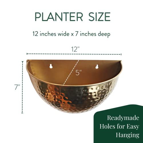 Allegorie Metal Wall Planter | Indoor Or Outdoor Hanging Plant Pot | Farmhouse Decor & Boho Kitchen Decoration For Herbs & Succulents And Living Wall 12X7 (Gold) #TOP3