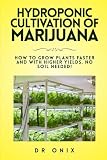 HYDROPONIC CULTIVATION OF MARIJUANA: How to grow plants faster and with higher yields, NO SOIL NEEDED! (how to grow marijuana)