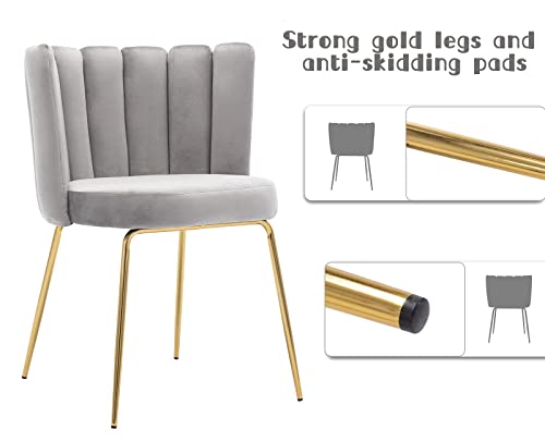 Zhenghao Velvet Dining Chairs Set Of 4 Upholstered Side Chairs With Brass Legs, Modern Curved Back Accent Chairs For Home Kitchen/Living Room/Bedroom, Grey #TOP4