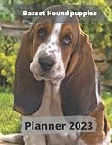 Photo Gallery basset hound puppies planner 2023 Photo Gallery basset hound puppies planner 2023