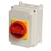 Produktbild Not-Aus-Hauptschalter 32A, 11kW, 4-polig, Handhabe gelb/rot