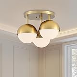 Popity home Globe Flush Mount...