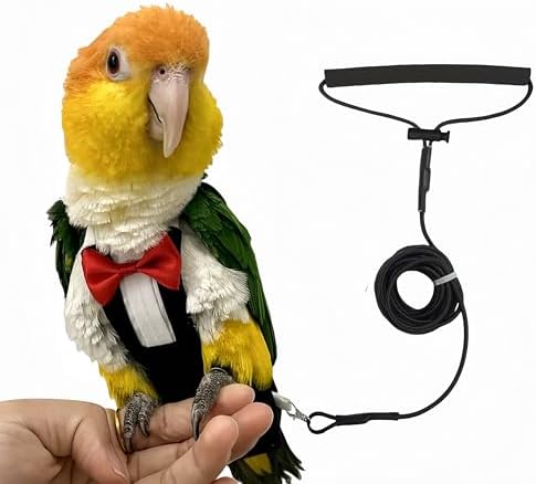 best bird harness for vet visits that will surprise you 8 Magnoloran Bird Diapers Bird Harness Tuxedo Flight Suits with 80in Flying Leash Parrot Nappy with Waterproof Inner Layer Urine Wet Suite for Cockatiel Conure Parakeet Macaw Budgie-Black,L
