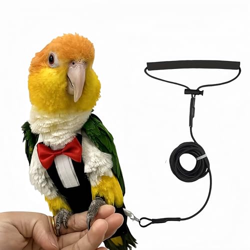 Magnoloran Bird Diapers Bird Harness Tuxedo Flight Suits with 80in Flying Leash Parrot Nappy with Waterproof Inner Layer Urine Wet Suite for Cockatiel Conure Parakeet Macaw Budgie-Black,M