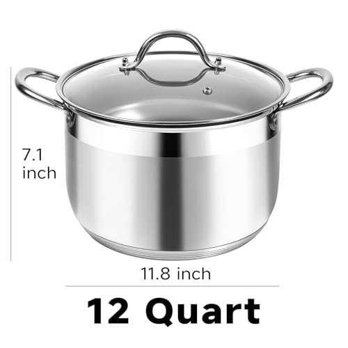 Image of Kirecoo 12 Quart Stainless Steel Heavy Duty Stock Pot with Visible Lid