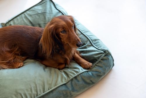 Designed by Lotte Nalino, Hundekissen, Samt, Grün, 70x55x15 cm