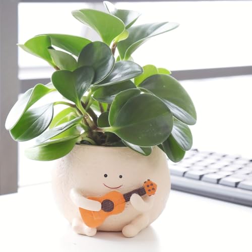 Image of Smily Face Planter Pot with Drainage Hole Cute Resin Head Planters for String of Pearls Plant Live Unique Guitar Succulent Pots for Indoor Outdoor Plants Gift Idea
