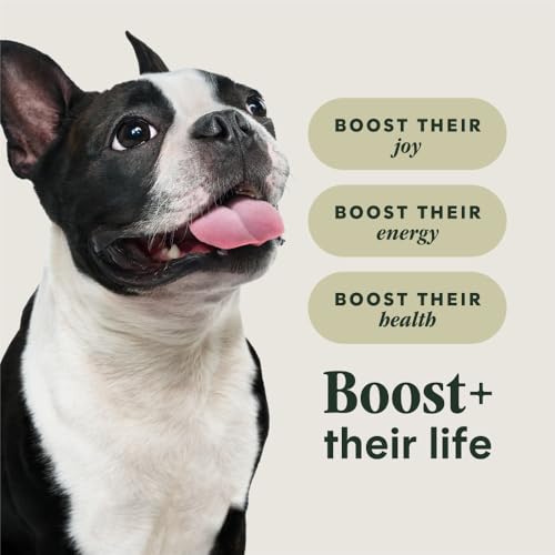 Instinct RawBoost Small Breed, Natural Dry Dog Food with Freeze-Dried Pieces, High Protein, Grain-Free Recipe - Real Beef, 3.5 lb. Bag - Image 5