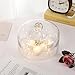 twakutwaku Handmade Sturdy Glass Cake Dome, Cake Cover Lid, Cake Stand Topper, Glass Dome Cloche, Glasss Cloche (clear, 8