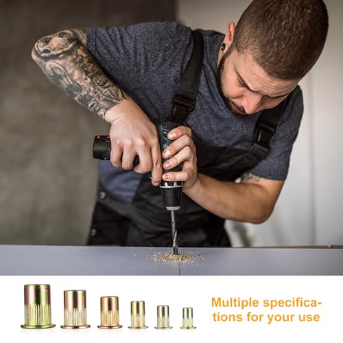 Nietmuttern Sortiment, 220 Stk Einnietmuttern Set, M3 M4 M5 M6 M8 M10 Runde Flachkopf Gewinde Rivet Nutsert Cap Muttern, Zugnietmutter Blindnietmuttern für Metallplatten, Rohre usw
