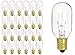 Satco (S3905 15T7C Clear 130V.) Dimmable 15 Watt T7 Incandescent Lamp; Clear; Warm White 2500 Average Rated Hours; 95 Lumens; Candelabra Base; 130 Volt for Home and Hotel DÃ©cor (24 Pack)