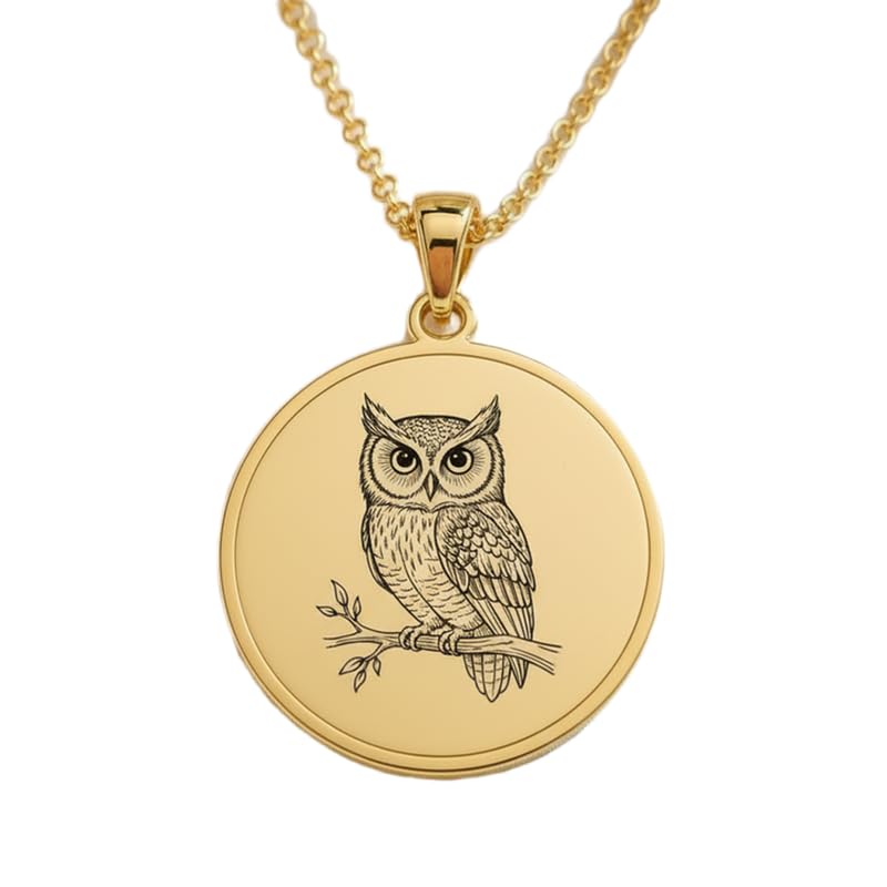 Collier hibou en argent 925 plaqué or qui ne ternit pas, chaîne 45 cm hypoallergénique