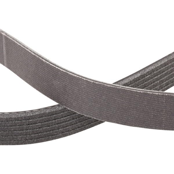 Courroie d'accessoire Poly-V RIDEX PLUS 305P0101P haute résistance