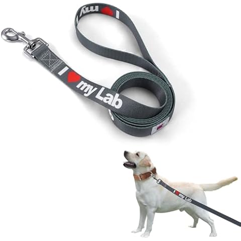 ETANTO 6FT Customized Dog Leash for Labradors Cover