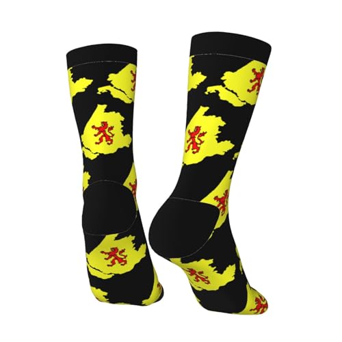 Flag Map of South Holland Socks For Men Women Outdoor Sports Running Hiking Wicking Crew Socks4