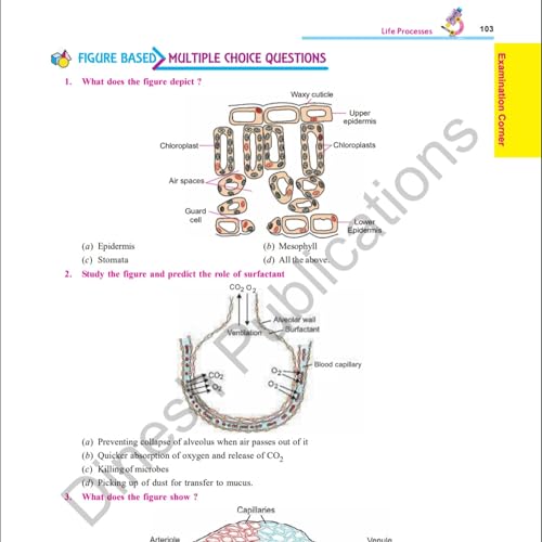Image of DINESH New Millennium Biology Class 10 (2026-27 Edition) | Complete NCERT Solutions + Exemplar | MCQs, Assertion-Reason, Case Based Questions | Competency Wallet & HOTS | CBSE Board Exam Guide
