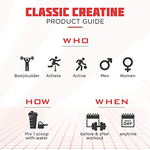 Classic Creatine – Creatine Monohydrate With Biofit Probiotics - Micronized & Quality Controlled – Muscle Growth & Strengh – Exclusive Biofit Probiotics For Fast Absorption & No Bloating – 60 Servings #TOP3
