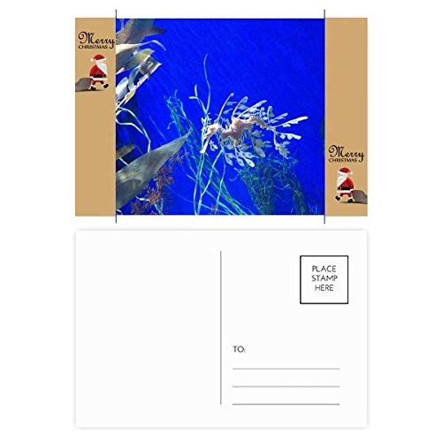 Cartes postales de remerciement hippocampe bleu océan - Lot de 20 pièces chic