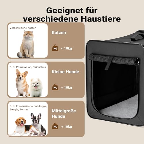 Wiltec Faltbare Transportbox für Hunde, Katzen M (58x46x53 cm), robust, leicht, sicher, Hundebox mit entnehmbarem Kissen, Schwarz
