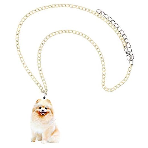 Collar acrílico Happy Pomerania Perro Collar Colgante Collar de Moda Lindo Animal joyería para Mujeres niñas Regalo de cumpleaños Femenino