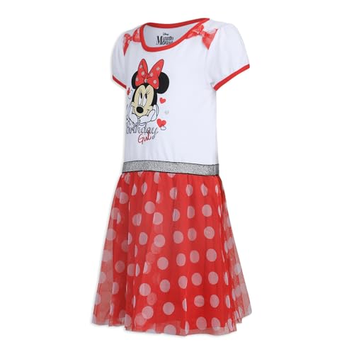 Disney Girls' Minnie Mouse Birthday Dress2