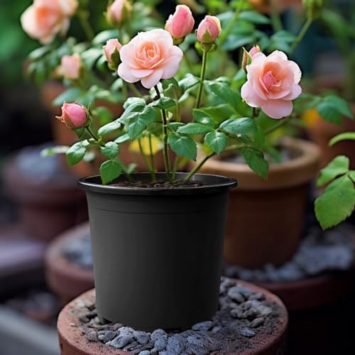 Pots de pépinière robustes 3 gallons en plastique rigide - 7