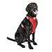 Kurgo Tru-Fit(TM) Crash Tested Dog Harness, Red, Large