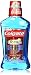 Colgate Total Advanced Pro-Shield Peppermint Mouthwash 16.9 fl. oz.