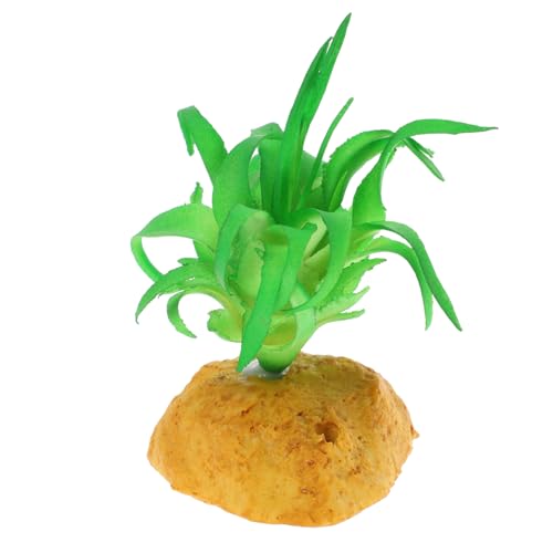 Loigohon �e�����E���p�l�H�A�� ? ঒��ސ����n�̎��R�ȑ����A������P�[�W�ɍœK�ȃ��A���f�U�C�� (6x5x8.3cm)