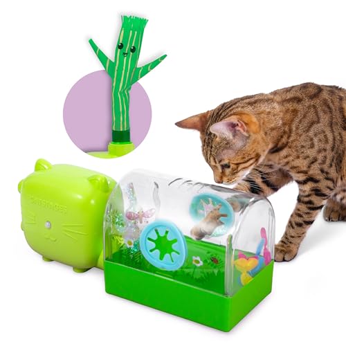 Catstages 2-in-1 Air Blaster Play Set Cat Toy, 2 Interchangeable Toys, Terrarium & Dancing Cactus, 1 Battery-Operated Fan by Catstages - Used condition - US$37.36