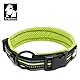 Truelove True Love Hundetrainingshalsband TLC5011 Reflektierende Hundehalsbänder (2XS, Neongelb)