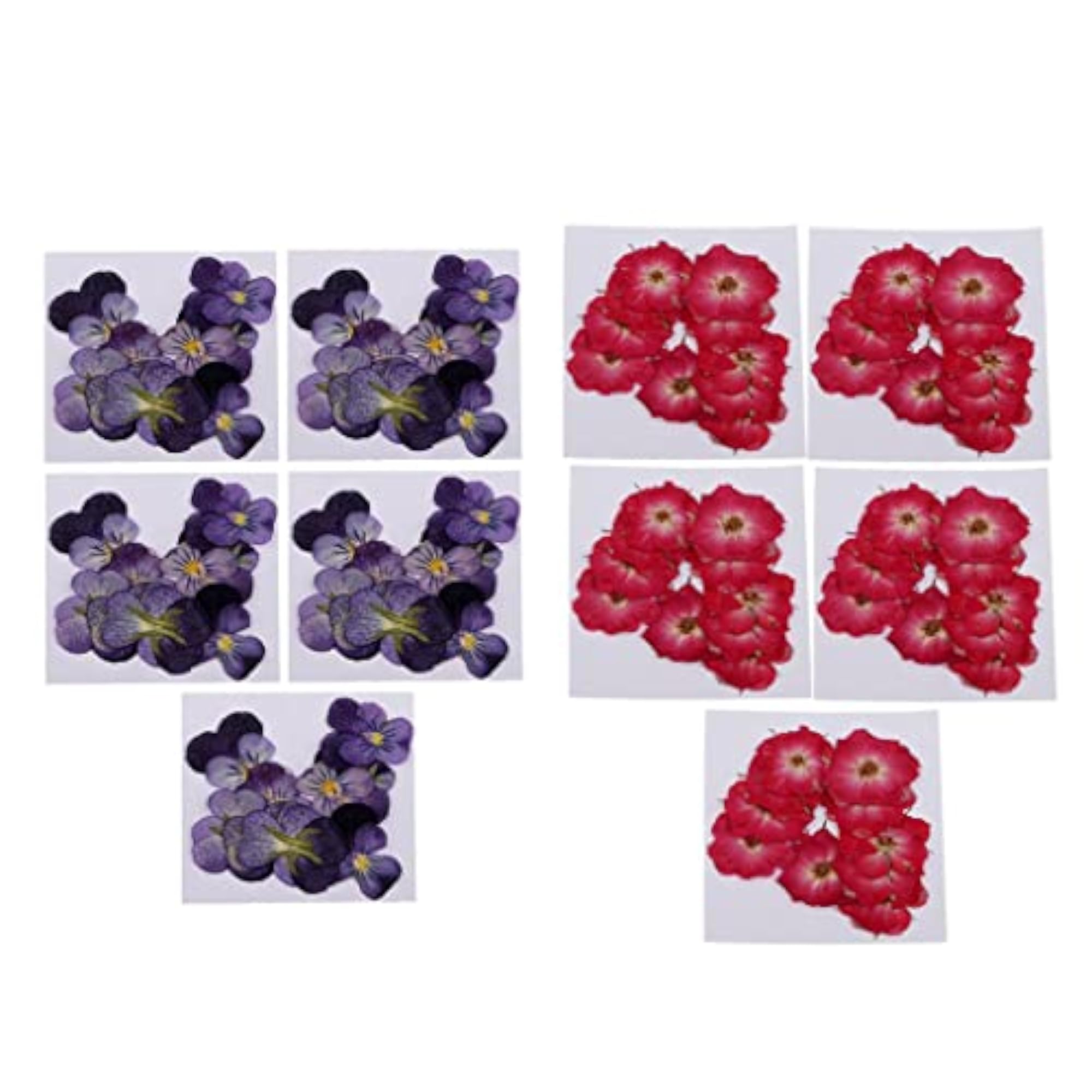 20 Pcs Dried Pressed Flowers for DIY Scrapbooking Crafts