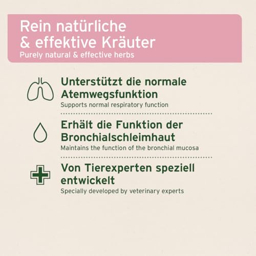AniForte Bronchialkräuter Pferd 1kg - Natürliche Kräuter mit Methylcystein, bei Husten & Schnupfen, Atemwegskräuter Pferd als Ergänzungsfutter, Pferde Hustenkräuter für freie Atemwege