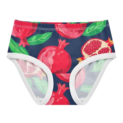 Girls Underwear Toddler 2t Cotton Panties Little Girl Fun Print Briefs Kids Undies Red Pomegranates Green Dark Blue