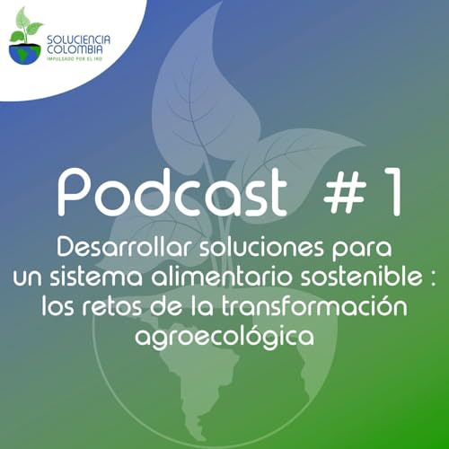 『Sistema alimentario sostenible & Transformación agroecológica』のカバーアート
