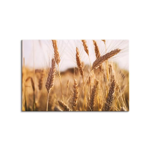 ؘgt̊i x[W̕iLoXǉZbg v̊CAr[`vgAƃppXOX[hLoXA_{w~AX^CAmfBbNfR[VA|X^[z[[Axbh[AItBXAC݃z[fR[V? (40x6