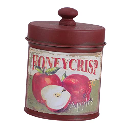 Cabilock Cubo De Almacenamiento De Hierro Forjado Maceta Creativa Retro Caja Para Cultivar Flores El Hogar