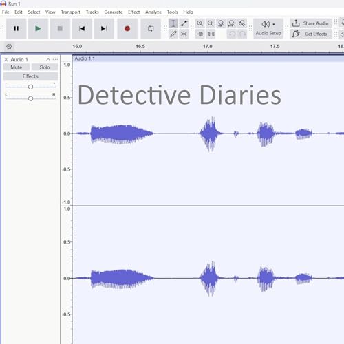 Audio Forensics- Making Recordings Clearer to Hear