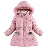Parka con capucha y cremallera para niños y niñas, con forro polar, para invierno, cálida, lisa, resistente al viento, térmica, con bolsillos, bonitos abrigos acolchados
