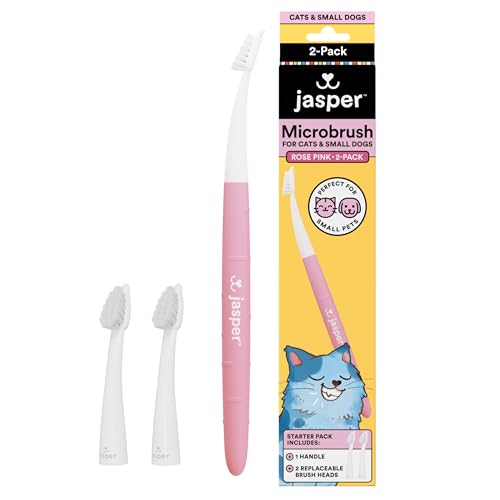 Image of Jasper Microbrush Vet Approved Cat Toothbrush, Soft-Bristled Toothbrush Kit for Felines & Small Dogs, Non-Slip Handle with 2 Replaceable Tooth Brush Heads, Use with Cat Toothpaste, 2-Pack, Rose Pink