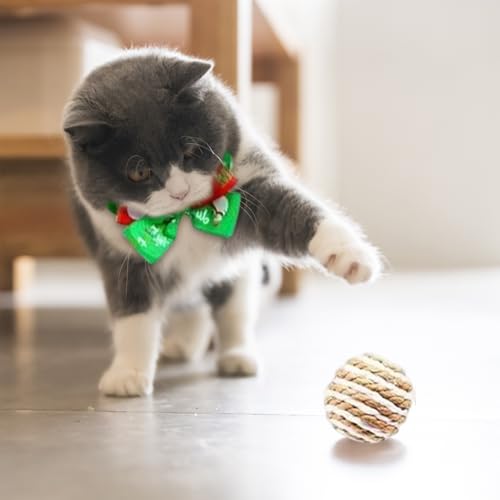 Toys interactifs pour chats pour célébrer l'amour de nos compagnons - 6