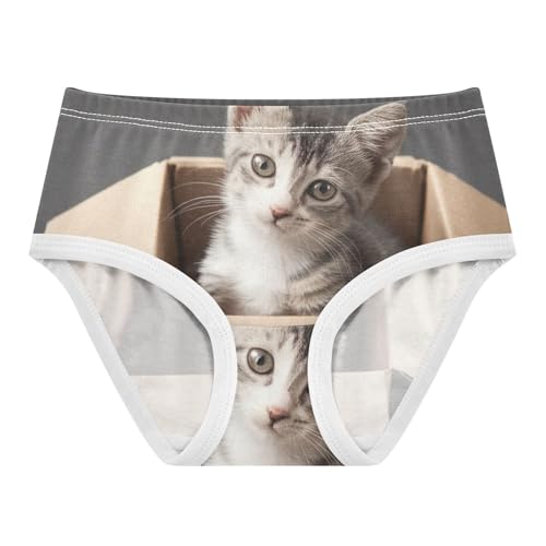 Fun Toddler Underwear Floral 2t Cotton Girl Panties Cute Cute Cat Undies Kids Briefs