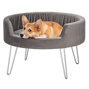 Small Sofa and Dog Chair