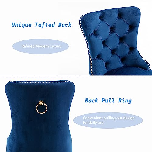 KCC Velvet Dining Chairs Set of 6, Upholstered High-end Tufted Dining Chair with Nailhead Back Ring Pull Trim Stainless Steel Legs, Contemporary Nikki Collection Modern Style for Kitchen, Blue