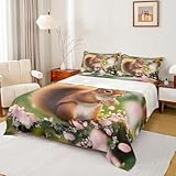 Squirrel Sheet Set Queen Size Pink Cherry Blossom Print Bed Sheets Set for Boys Girls Kids Cute Cartoon Squirrel Fitted Sheet Fall Season Flat Sheet Thanksgiving Day Gifts Fall Decor Sheets