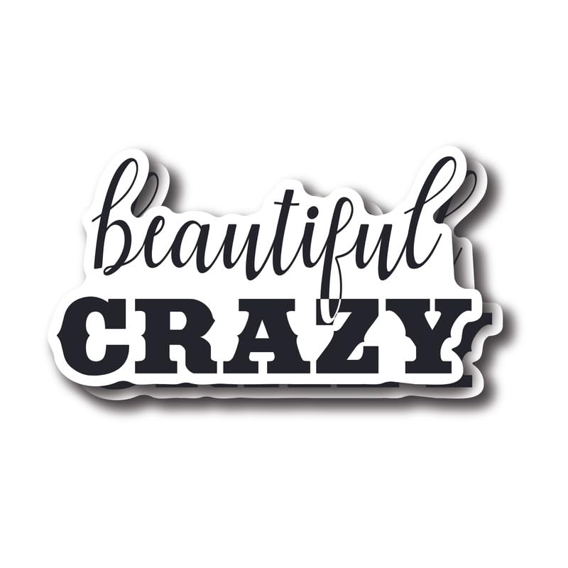 Autocollants fous graphiques lot de 2 pour exprimer votre créativité 12,7cm
