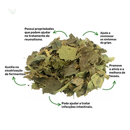 Chá de Guaco