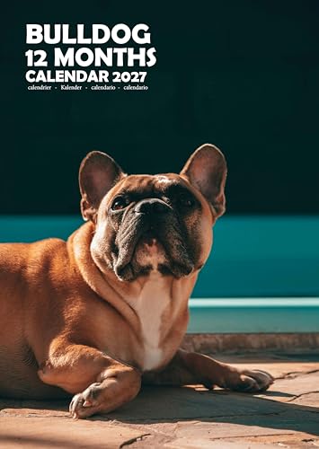 Calendario 2027 de Bulldog Dog A3 a todo color para pared MPRA
