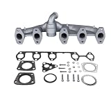 Compatibilità OEM: Compatibile con Transporter, Multivan e Touareg 2.5 TDI con motori AXD, AXE, BAC, BLJ; sostituzione diretta e perfetta.